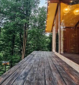 Vyzhenka House | Experience AЖ у НЕБІ: Family-Friendly with Pool Access