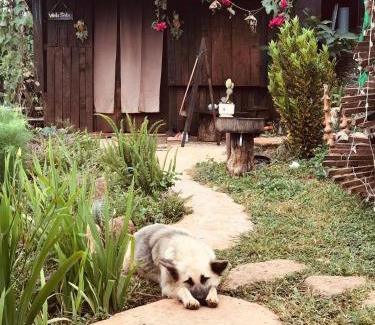 Di Linh Ski Chalet | A Ơi Di Linh homestay