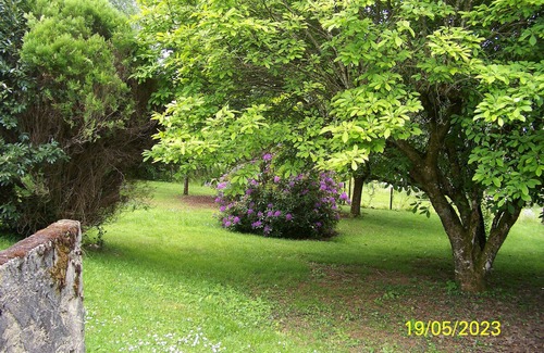 Seilhac House | Quaint Home with Garden, Steps from the Village Center