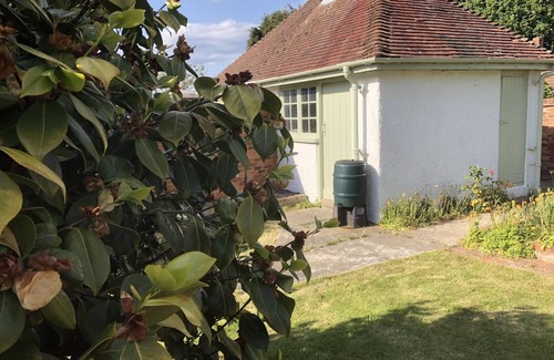 New Forest District Cottage | Charming Cottage Retreat in New Forest Near Scenic Beaches