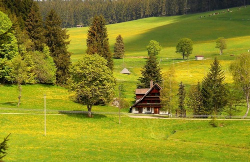 Schollach Condo | Experience Nature in the Black Forest: Pet Friendly & Scenic