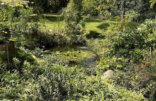 Harare Apartment | Cozy Boutique Lodge in a Tranquil Setting with Pool
