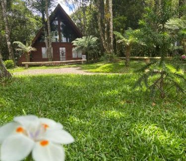 Sao Francisco de Paula Ski Chalet | Inviting A Cabana Sao Chico: 4-Star Hot Tub Retreat