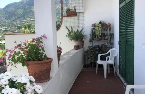 Succhivo Apartment | Pet-Friendly Retreat: A cas e Rosa with 9.7/10 Rating