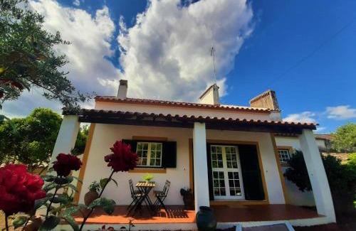 Gaviao House | Beachfront Getaway at A Casa da Ti Vina - Guest Rated 9/10