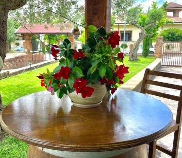 Vasto Bed & Breakfast | Highly Rated A Casa Dei Nonni B&B with Breakfast Included