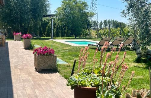 Puliciano House | Experience A Casa di Elena: Oceanfront Bliss & Pet-Friendly