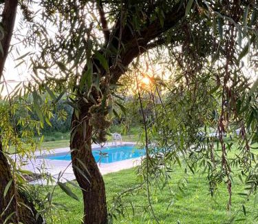 Puliciano House | Experience A Casa di Elena: Oceanfront Bliss & Pet-Friendly