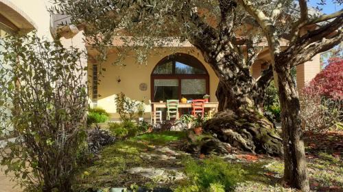 Pagnano Apartment | "A casa di Jolanda" a green escape near Venice