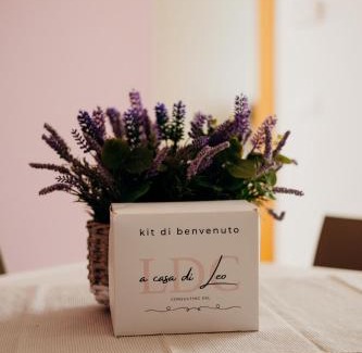 Tortoreto Lido Apartment | A Casa di Leo