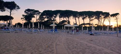 Porto Recanati Apartment | Discover A casa di Milena: Pet-Friendly Oceanfront Retreat