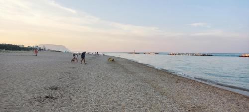 Porto Recanati Apartment | Discover A casa di Milena: Pet-Friendly Oceanfront Retreat