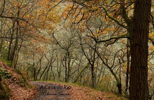 Chantada Apartment | Discover A Casa do Río: Pet-Friendly Retreat with Kitchen