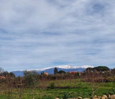 Oliveira do Hospital House | Pet-Friendly Paradise at Casa do Soito - Guest Rated 9.8