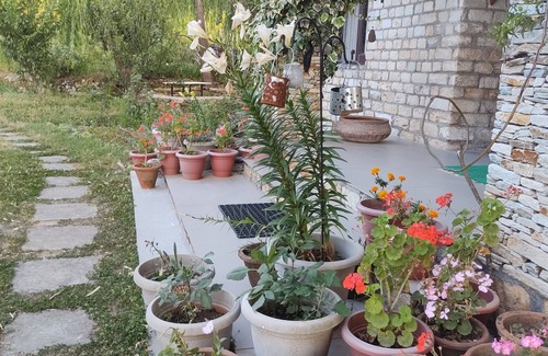 Kaul Cottage | Beautifully Furnished Home with Breathtaking Views