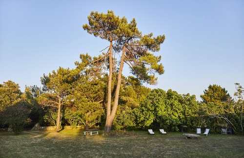 Ile d'Yeu House | Unique Oceanfront Experience in a Converted Windmill