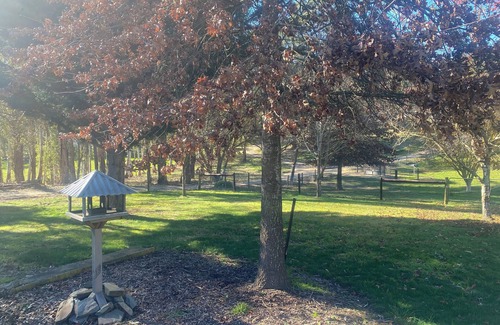 Hahndorf Cottage | A cosy fully renovated 2 bedroom dairy, in the heart of the Adelaide Hills