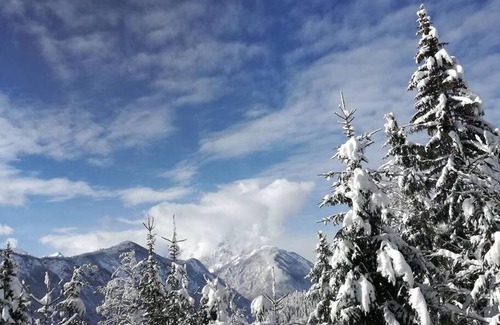 Jesenice House | Cozy Alpine Cottage for Hiking, Cycling & Skiing Adventures