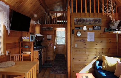 Long Lake Cabin | Pet-Friendly Getaway at Bearadise - Ideal for Your Escape