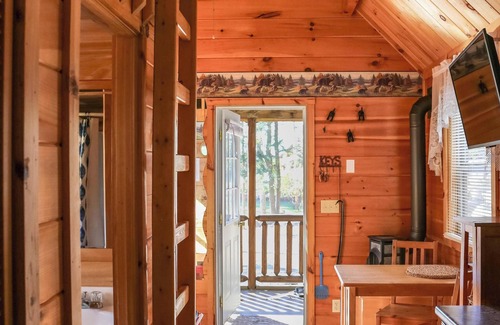 Long Lake Cabin | Pet-Friendly Getaway at Bearadise - Ideal for Your Escape