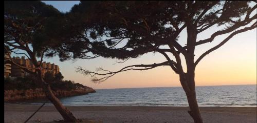 Salou Apartment | Newly Opened Aparthotel Inter2: Oceanfront Pet-Friendly Suites