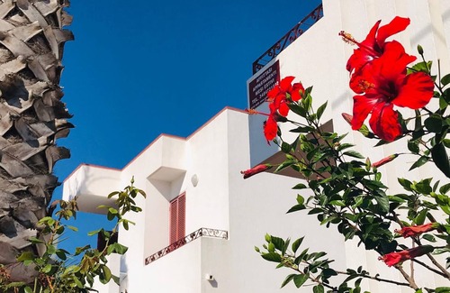 Lido Marini Apartment | Just Steps from Puglia's Crystal Clear Sea and Pet Friendly