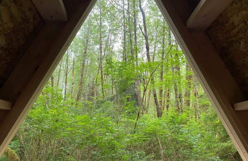 Forks Apartment | Cozy A-Frame Shelter in Enchanted Rain Forest Retreat
