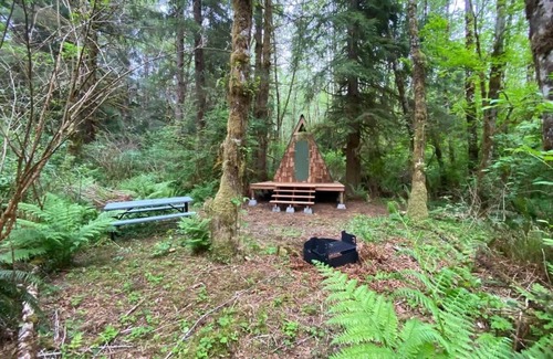 Forks Apartment | Cozy A-Frame Shelter in Enchanted Rain Forest Retreat