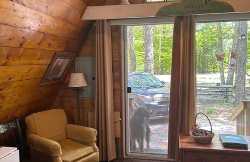 Becket Cabin | Pet-Friendly A-Frame with Ocean Views in Sherwood Forest