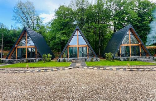 Vadu Crisului House | A-frame Marisa Vadu Crisului: Family-Friendly Retreat