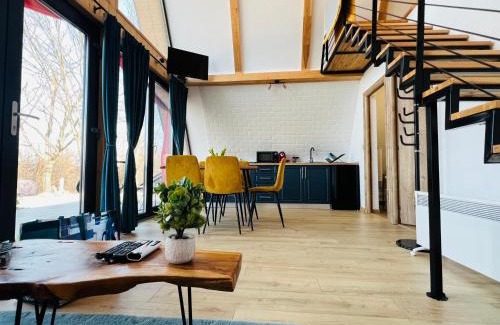 Vadu Crisului House | A-frame Marisa Vadu Crisului: Family-Friendly Retreat