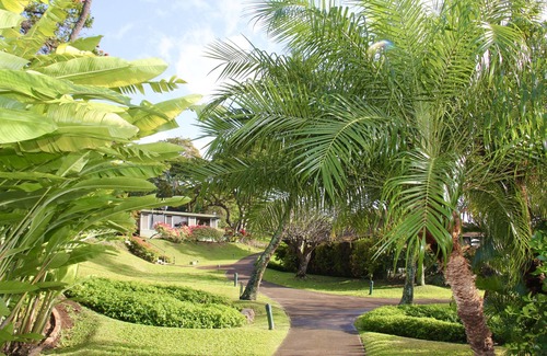 Kaanapali Cottage | Ocean View Escape: Relax in Kaanapali's Hidden Gem