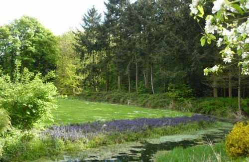 Acrefair House | Grade II* Country House with Spa & Pet-Friendly Retreat