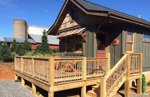 Waynesville Cabin | Enchanting Cabin Retreat Amidst a Christmas Tree Farm