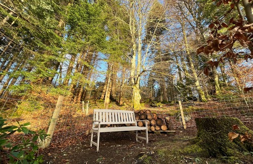 Invergarry House | Discover a Cozy Retreat in the Heart of the Highlands