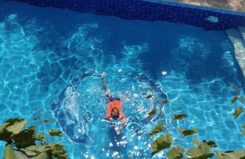Nidri Villa | Idyllic Stone Villa with Pool & Ocean Views - Pet Friendly