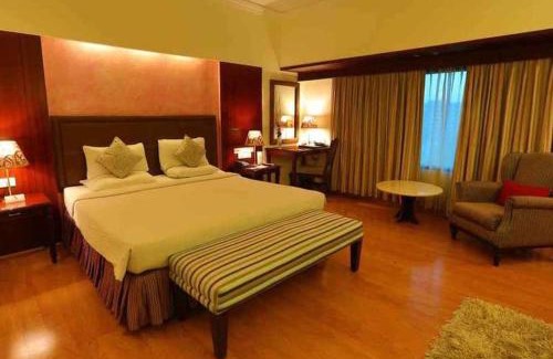Ludhiana Hotel | Discover Del-517: Family-Friendly Stay with Dining Options