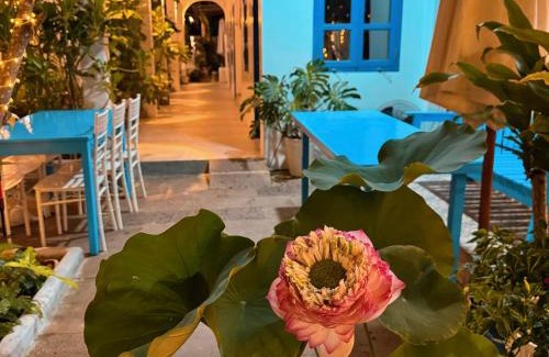 Ho Tram House | Discover A House - Your Ideal Homestay in Mui Ne