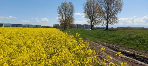 Sibiu Apartment | Family-Friendly A & I Apartment: Rated 9.2/10 by Guests