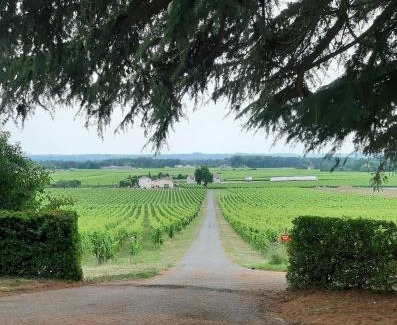 Saint-Magne-de-Castillon Bed & Breakfast | Discover A L'OMBRE DE LA TREILLE Near Saint-Emilion