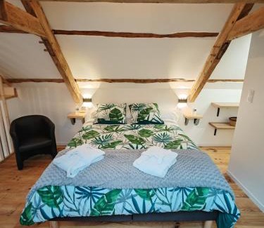Saint-Malon-sur-Mel House | Unforgettable A la Mémoire de Merlin & SPA with Hot Tub