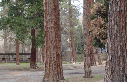 California Hot Springs Cabin | Heavenly Retreat with Spa & Pet-Friendly Amenities