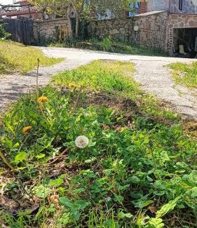 Soutomaior House | Discover A Parrula: River, Mountain & Pet-Friendly Retreat