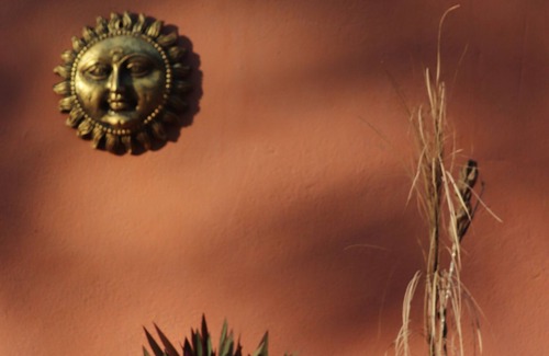 Siliguri Bed & Breakfast | Relaxing Nature Retreat with Child-Friendly Amenities