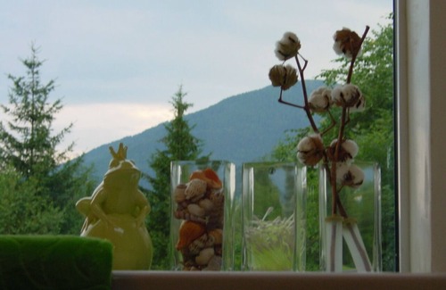 Feld am See House | Serene Lakefront Retreat: Pet-Friendly & Wheelchair Accessible