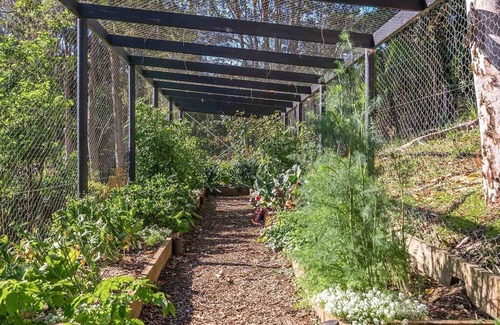 Byron Bay Cabin | Unforgettable Stay at Ourmuli Cabin with Private Pool