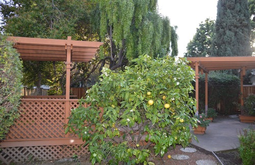 Ardenwood House | Your Personal Oasis: Pet-Friendly Retreat with Pool & Spa