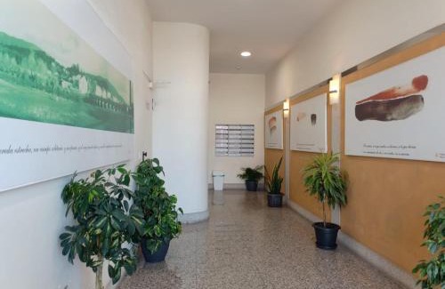 Padron Apartment | Discover A PONTE: Family-Friendly with 9.7/10 Reviews