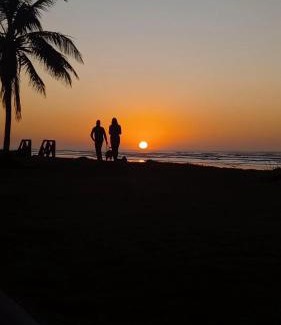 Cidade Nova Peruibe Hotel | Discover A Pousada Vegana: Family & Pet-Friendly Retreat