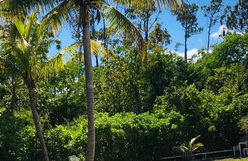 Lucaya Cottage | A quaint 2 bedroom cottage minutes from the beach and Port Lucaya.